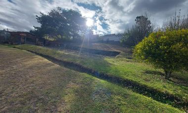 Terreno industrial de venta con frente (44 m) a la panamericana norte. construcción amplia. ideal para industria