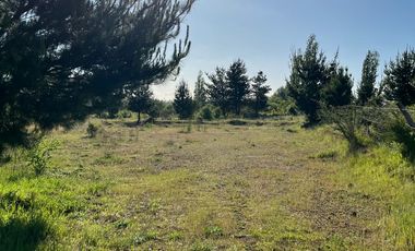 OPORTUNIDAD PARCELAS EN CHOLGUAN - YUNGAY