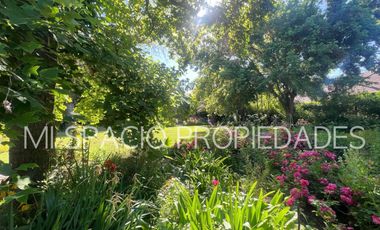 Camino El Oliveto - Colegio Los Ceibos