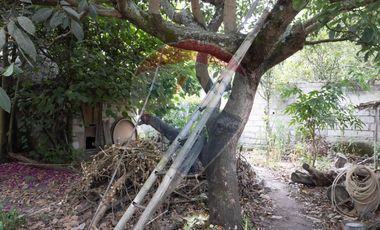 CASA CON TERRENO EN VENTA EN NATABUELA