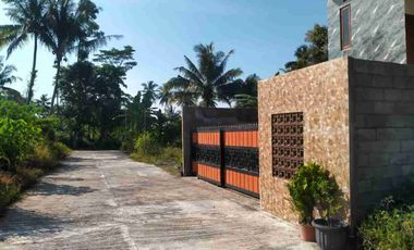 Jual Cepat Rumah 2 LT di Jl Palagan km 14 dekat Fasum