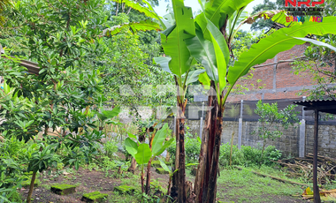 Dijual Unit semi vila di Tamansari , Licin Banyuwangi ini bisa jadi pilihan sempurna