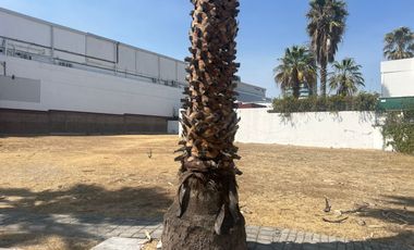 Venta de Terreno en Fraccionamiento Rincón de los Reyes, San Andrés Cholula, Pue