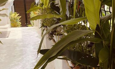 Modern House with Private Pool for Sale / Rent in Pajac Lapu-Lapu