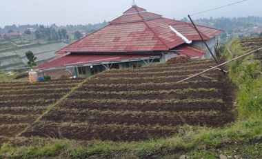 120 M2 Kavling View Indah Bisa di Cicil Setahun, Perbukitan Pakuhaji, Bandung Barat. Propinsi Jawa Barat.