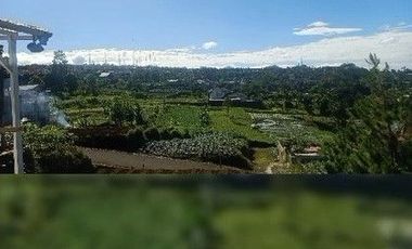 120 M2 Kavling View Indah Bisa di Cicil Setahun, Perbukitan Pakuhaji, Bandung Barat. Propinsi Jawa Barat.
