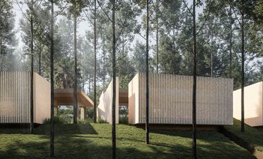 Freehold Wellness Villa within Forest in Canggu