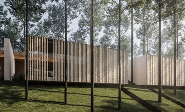 Iconic Wellness Villa Nestled within Forest in Canggu