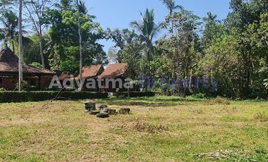 LAND FOR SALE IMMEDIATELY WITH A STRATEGIC LOCATION LOCATED IN THE RING 1 AREA OF BOROBUDUR TEMPLE