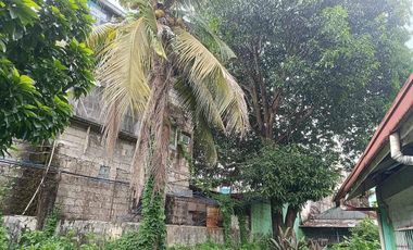 FOR SALE/LEASE - With old house in Del Nacia 4, Brgy. Sauyo, Quezon City