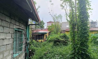 FOR SALE/LEASE - With old house in Del Nacia 4, Brgy. Sauyo, Quezon City