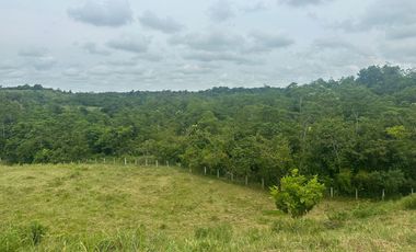 !NO PIERDAS LA OPORTUNIDAD DE INVERTIR! FINCAS GANADERAS EN MONTERÍA CÓRDOBA COLOMBIA.
