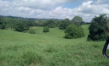 !NO PIERDAS LA OPORTUNIDAD DE INVERTIR! FINCAS GANADERAS EN MONTERÍA CÓRDOBA COLOMBIA.