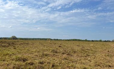 !NO PIERDAS LA OPORTUNIDAD DE INVERTIR! FINCAS GANADERAS EN MONTERÍA CÓRDOBA COLOMBIA.