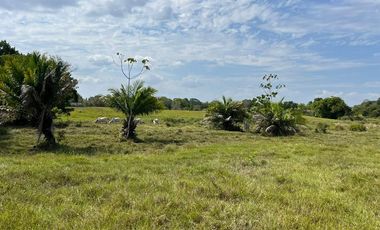 !NO PIERDAS LA OPORTUNIDAD DE INVERTIR! FINCAS GANADERAS EN MONTERÍA CÓRDOBA COLOMBIA.