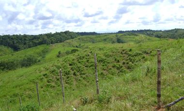 !NO PIERDAS LA OPORTUNIDAD DE INVERTIR! FINCAS GANADERAS EN MONTERÍA CÓRDOBA COLOMBIA.