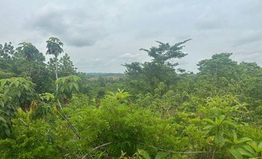 !NO PIERDAS LA OPORTUNIDAD DE INVERTIR! FINCAS GANADERAS EN MONTERÍA CÓRDOBA COLOMBIA.