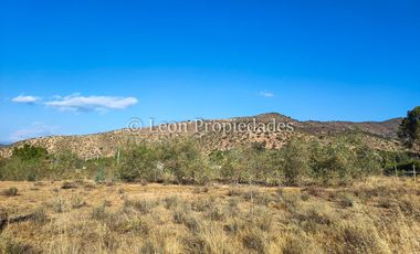 Leon Propiedades vende parcela con casa en sector Lo Águila centro, Curacaví.