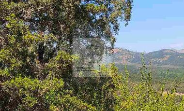 OPORTUNIDAD DE INVERSION, DESDE 6 MILLONES, PARCELAS DE 5.000 M2 CON ROL, COLCHAGUA