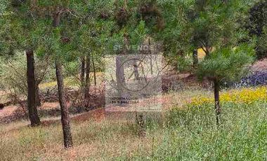 OPORTUNIDAD DE INVERSION, DESDE 6 MILLONES, PARCELAS DE 5.000 M2 CON ROL, COLCHAGUA