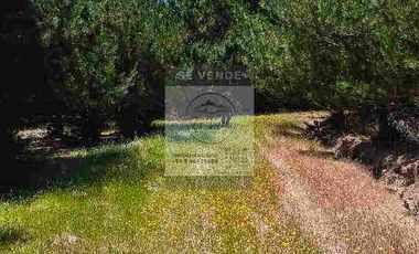 OPORTUNIDAD DE INVERSION, DESDE 6 MILLONES, PARCELAS DE 5.000 M2 CON ROL, COLCHAGUA