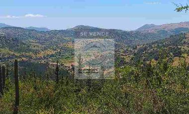 OPORTUNIDAD DE INVERSION, DESDE 6 MILLONES, PARCELAS DE 5.000 M2 CON ROL, COLCHAGUA