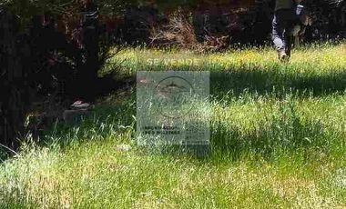 OPORTUNIDAD DE INVERSION, DESDE 6 MILLONES, PARCELAS DE 5.000 M2 CON ROL, COLCHAGUA