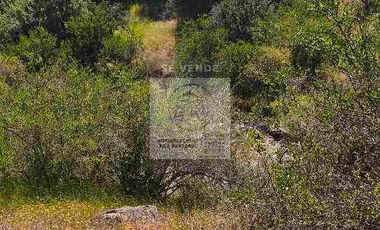 OPORTUNIDAD DE INVERSION, DESDE 6 MILLONES, PARCELAS DE 5.000 M2 CON ROL, COLCHAGUA