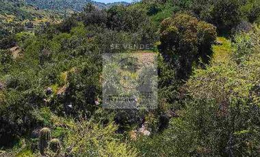 OPORTUNIDAD DE INVERSION, DESDE 6 MILLONES, PARCELAS DE 5.000 M2 CON ROL, COLCHAGUA