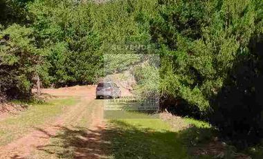 OPORTUNIDAD DE INVERSION, DESDE 6 MILLONES, PARCELAS DE 5.000 M2 CON ROL, COLCHAGUA