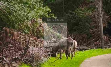 OPORTUNIDAD DE INVERSION, DESDE 6 MILLONES, PARCELAS DE 5.000 M2 CON ROL, COLCHAGUA