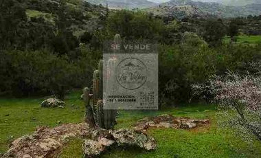 OPORTUNIDAD DE INVERSION, DESDE 6 MILLONES, PARCELAS DE 5.000 M2 CON ROL, COLCHAGUA