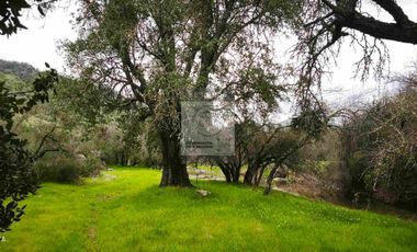 OPORTUNIDAD DE INVERSION, DESDE 6 MILLONES, PARCELAS DE 5.000 M2 CON ROL, COLCHAGUA