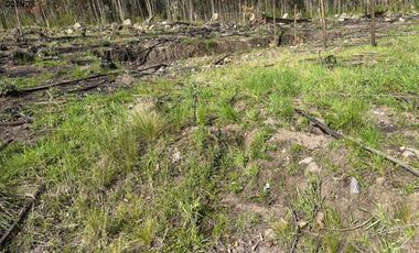 Terreno de venta en Otavalo sector San Pablo del Lago, El Topo