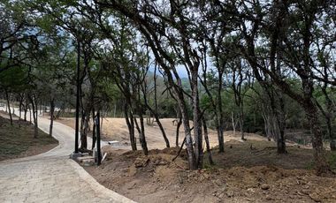 ¡Oportunidad! Terreno Campestre en Santiago!