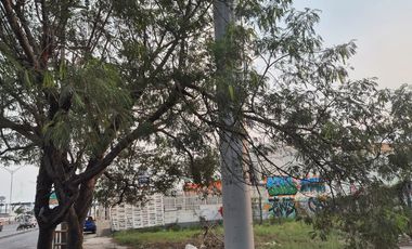 Terreno Comercial en Carretera a Laredo