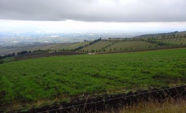 ✨ Oportunidad Única: Venta de Hacienda de 300 Hectáreas ✨