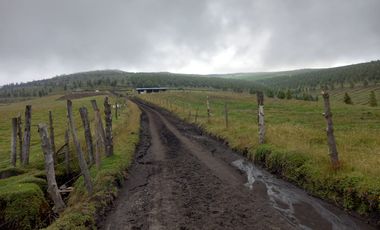 ✨ Oportunidad Única: Venta de Hacienda de 300 Hectáreas ✨