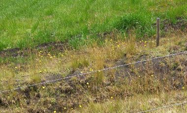 ✨ Oportunidad Única: Venta de Hacienda de 300 Hectáreas ✨