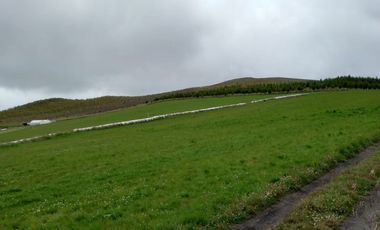 ✨ Oportunidad Única: Venta de Hacienda de 300 Hectáreas ✨