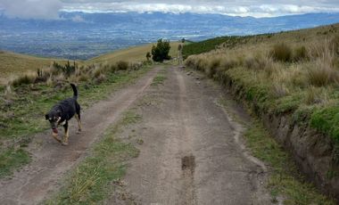 ✨ Oportunidad Única: Venta de Hacienda de 300 Hectáreas ✨