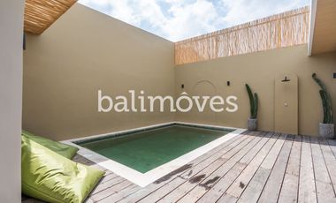 Bright Three Bedroom Brand New Villa in Sanur