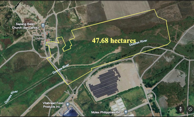 FOR SALE RAWLAND IN PAMPANGA IDEAL FOR INDUSTRIAL DEVELOPMENT ADJACENT TO TIPCO