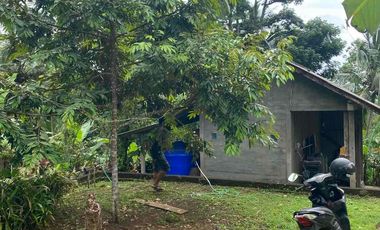 jual tanah selemadeg barat kawasan dingin