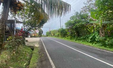 jual tanah selemadeg barat kawasan dingin