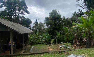 jual tanah selemadeg barat kawasan dingin