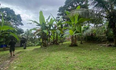 jual tanah selemadeg barat kawasan dingin