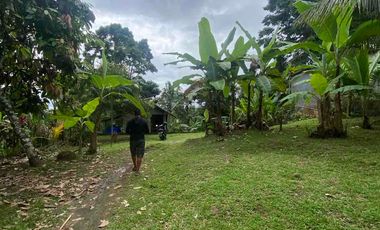 jual tanah selemadeg barat kawasan dingin