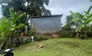 jual tanah selemadeg barat kawasan dingin