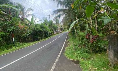 jual tanah selemadeg barat kawasan dingin